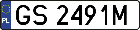 GS2491M