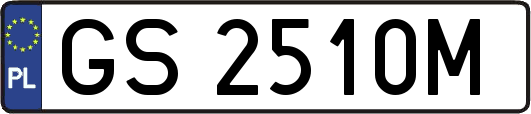 GS2510M