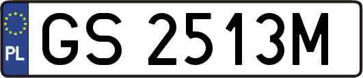 GS2513M
