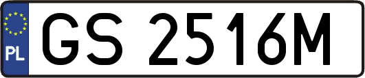 GS2516M