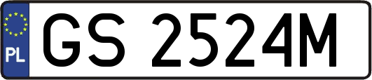 GS2524M