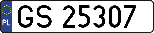 GS25307