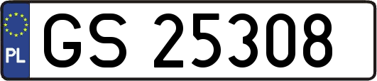 GS25308