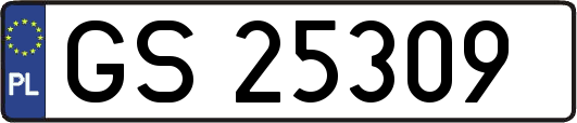 GS25309