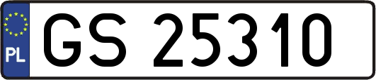 GS25310