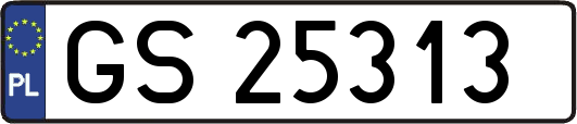 GS25313