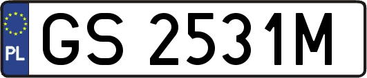 GS2531M
