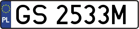 GS2533M