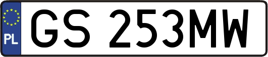 GS253MW