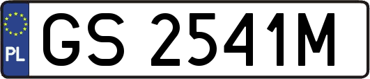 GS2541M