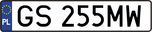 GS255MW