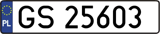 GS25603