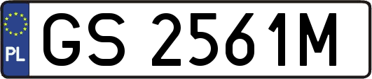 GS2561M