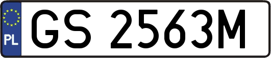 GS2563M