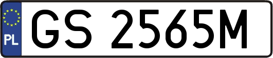 GS2565M