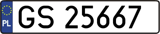 GS25667