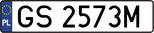 GS2573M