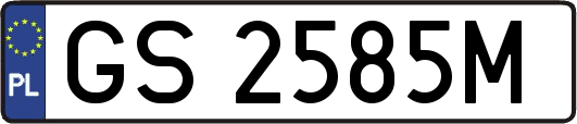 GS2585M