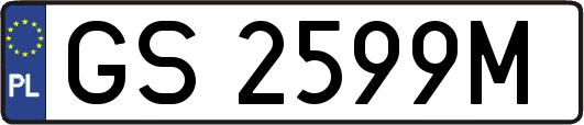 GS2599M