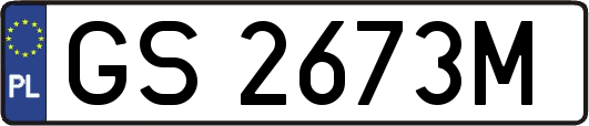 GS2673M