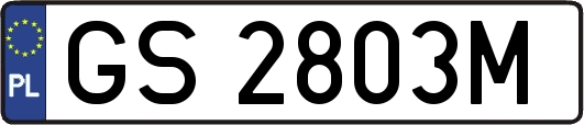 GS2803M