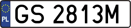 GS2813M