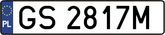 GS2817M