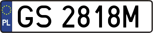 GS2818M