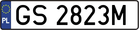 GS2823M