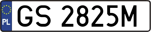 GS2825M