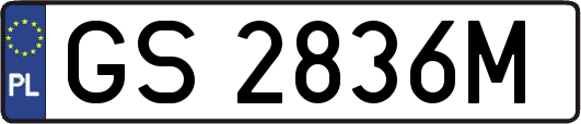 GS2836M