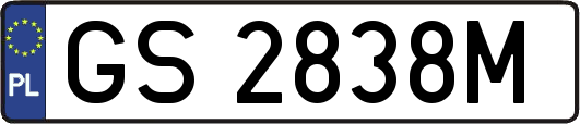 GS2838M