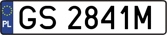 GS2841M