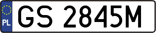 GS2845M