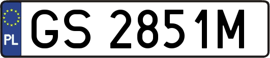 GS2851M