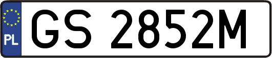 GS2852M