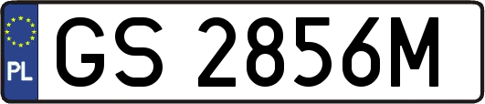 GS2856M