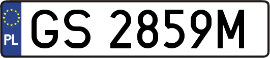 GS2859M
