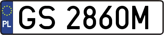 GS2860M
