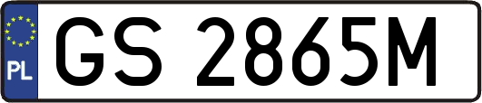 GS2865M