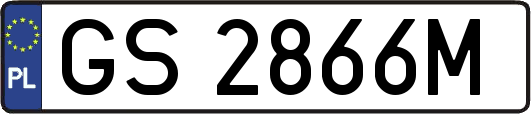 GS2866M
