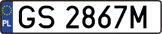 GS2867M