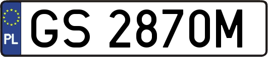 GS2870M
