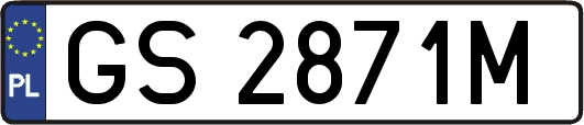 GS2871M