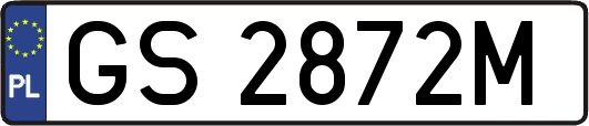 GS2872M