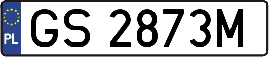 GS2873M