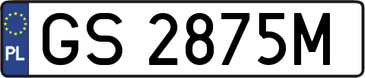 GS2875M
