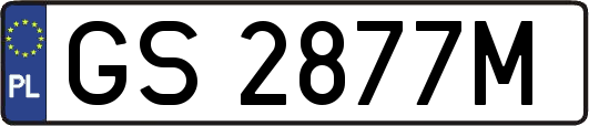 GS2877M