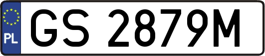 GS2879M