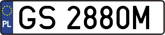 GS2880M
